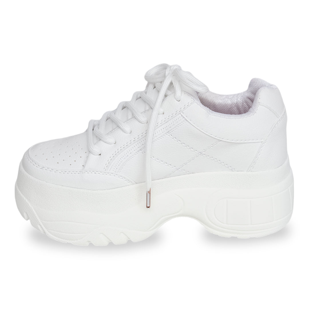REF 127 FOX BLANCO